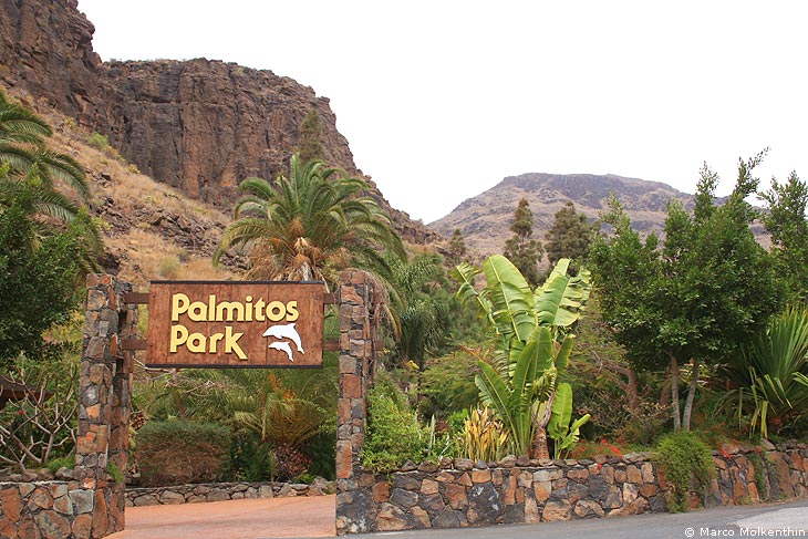 Palmitos Park, Eingang