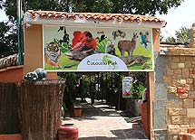 Cocodrilo Park