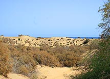 Maspalomas